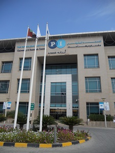 Petroluem Institute