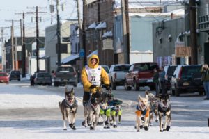Mines alumnus Alan Stevens sleds behind nine dogs in the 2015 Iditarod race.
