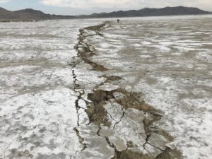 Fault rupture from the Searles Valley earthquake