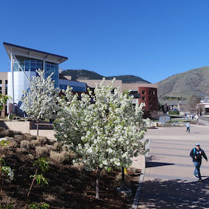 Campus photo showing the pedestrian plaza in spring