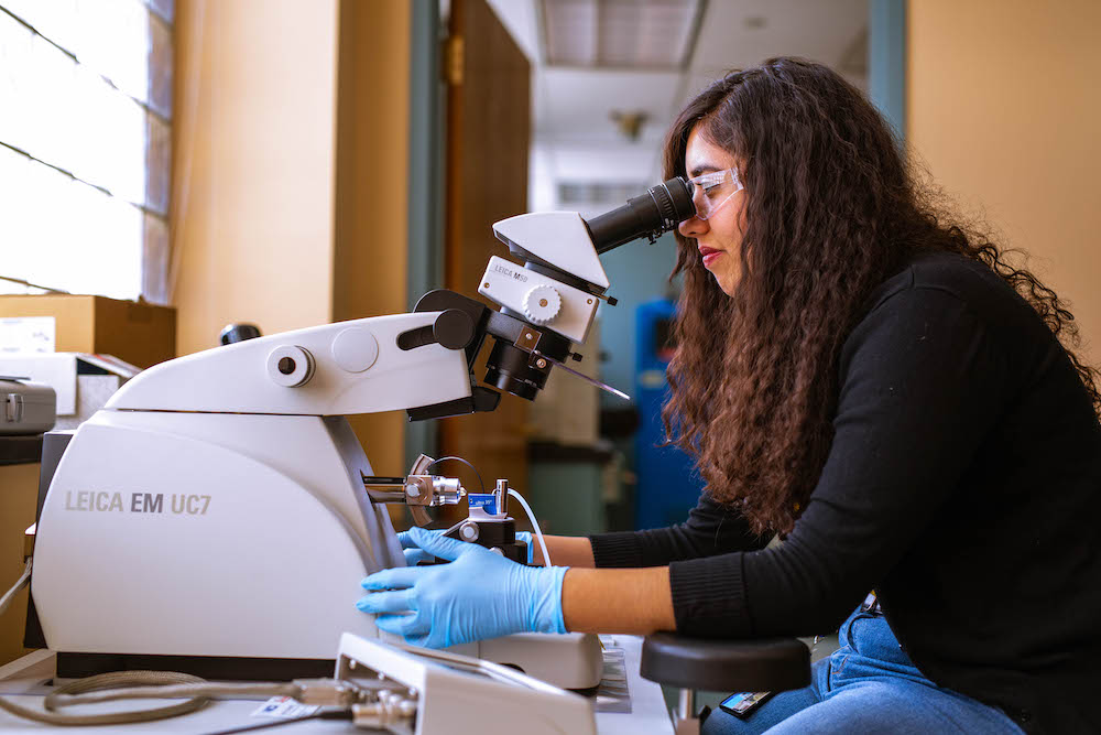 Female student looks into a microscope