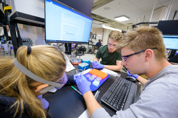  Mines undergraduate students Daniel Lewis, Emma Gaviola and Mitch Wernlein work on a lab project focused on the transformation of E. coli with the recombinant green florescent protein gene from the jellyfish Aequorea victoria.